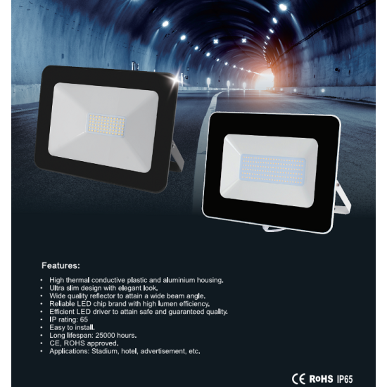 10W LED Floodlight